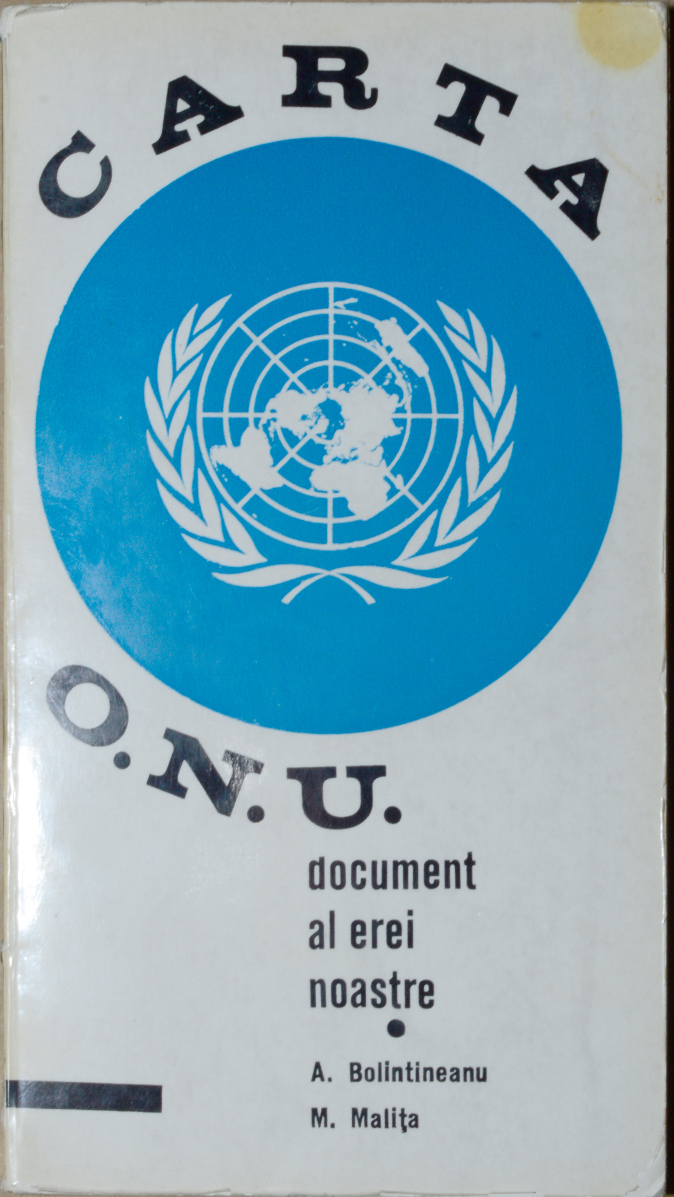 Carta ONU